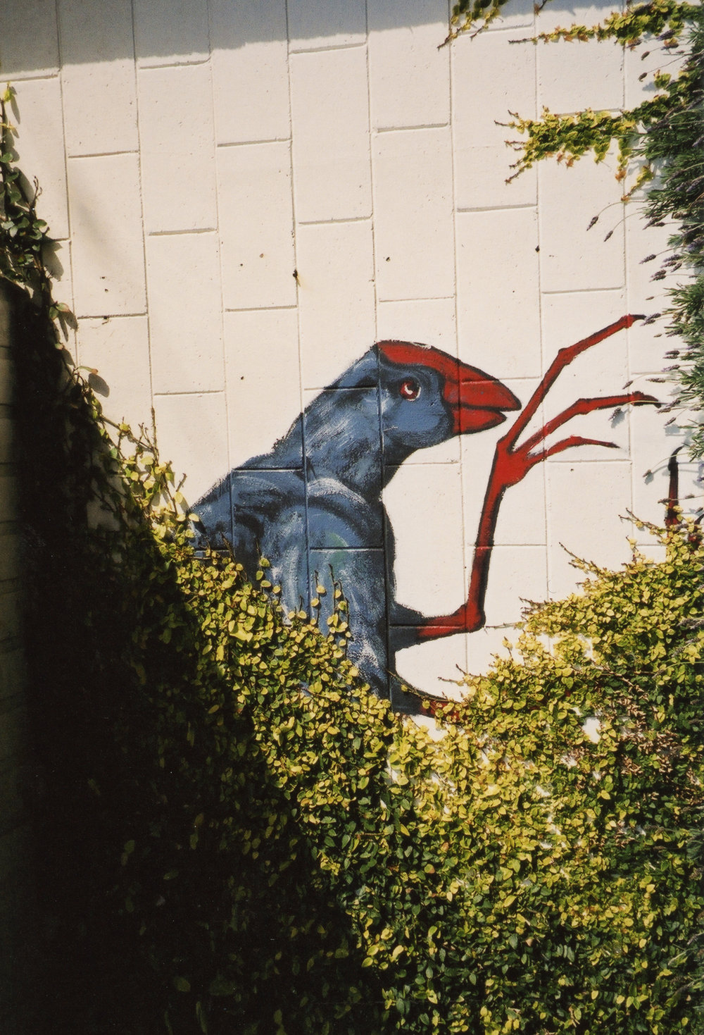 Mural, YHA Wellington City 