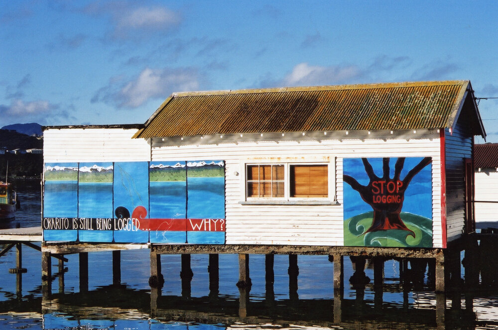 Okarito Forests Mural, Hataitai