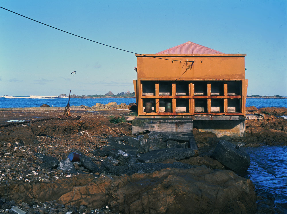 The Bait Shed, Island Bay