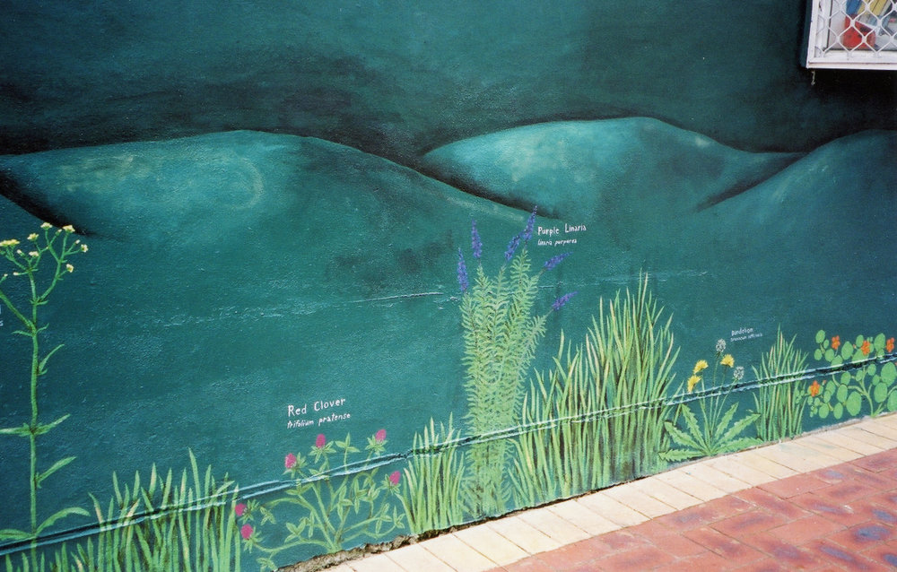 Wellington Flowers (Mural), Demarnia Gray