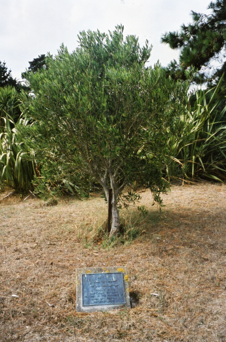 Palestinian Memorial, Karori Cemetery
