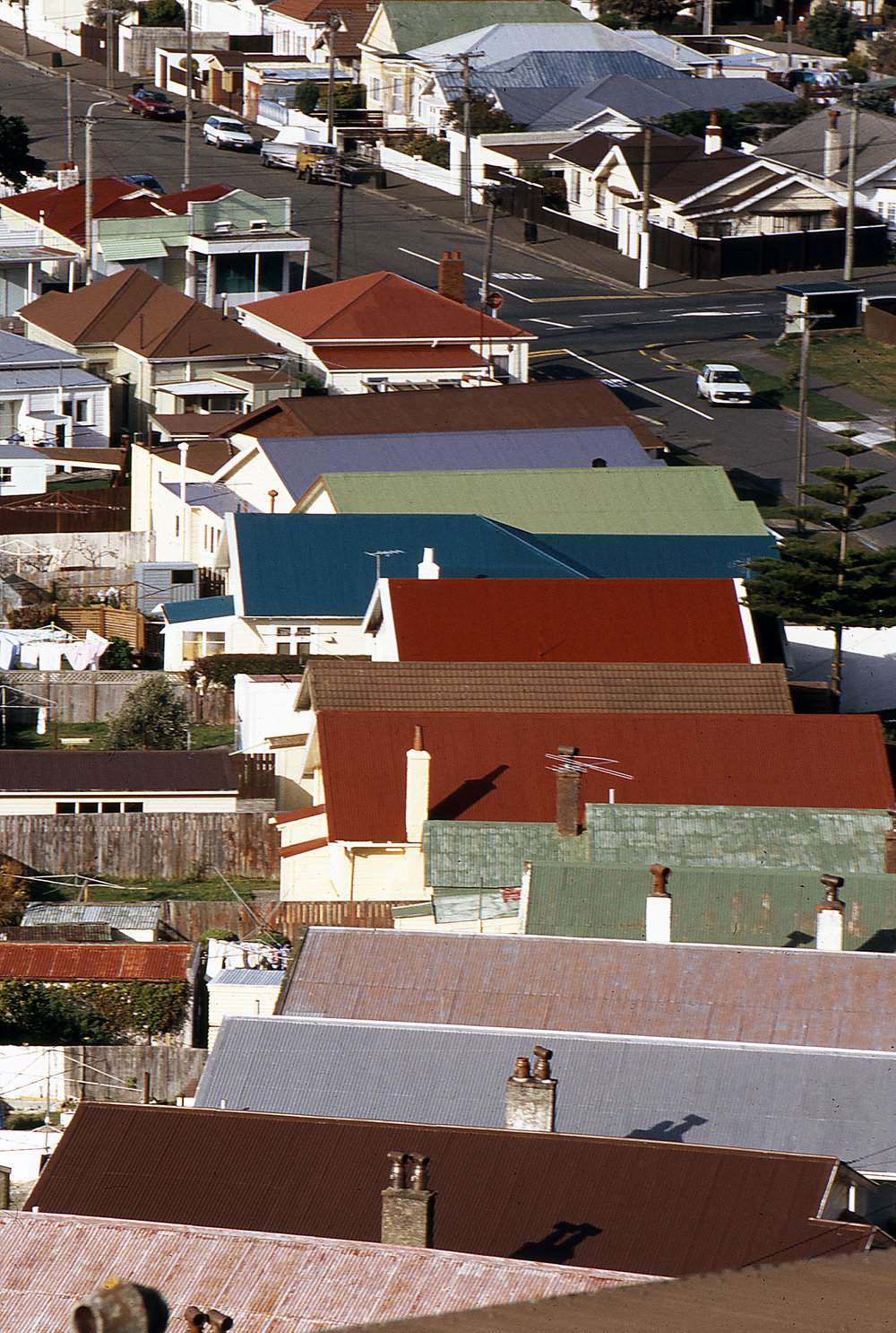 Endeavour Street, Lyall Bay
