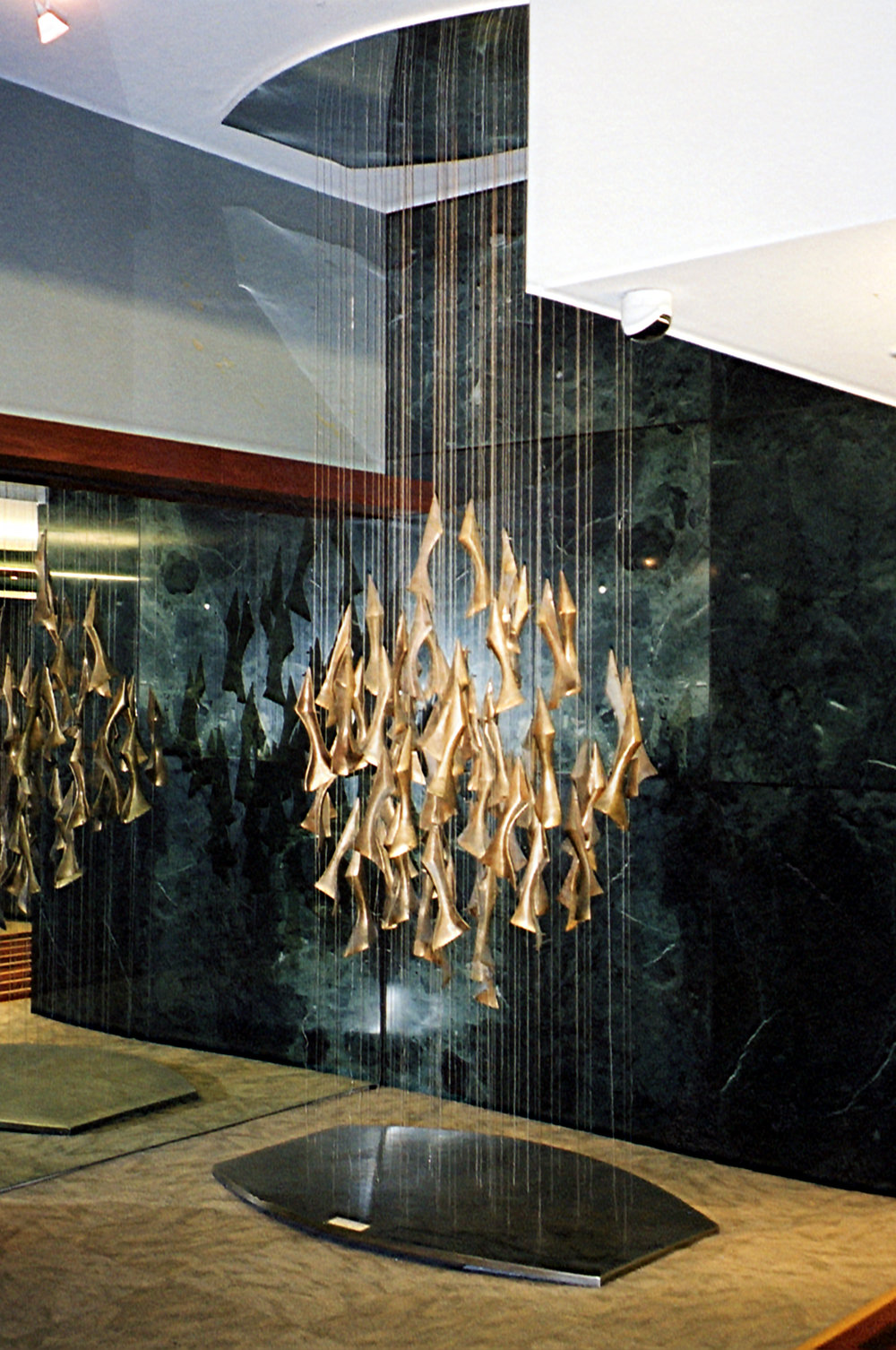 Constellation, Molly Macalister