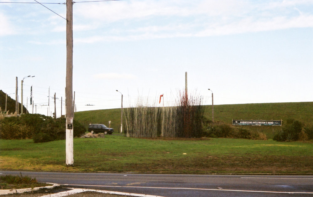 Pacific Grass, Kon Dimpoulos