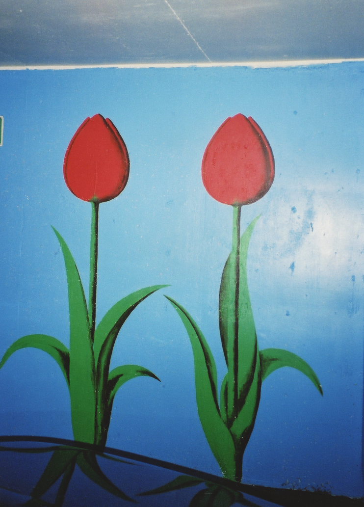 Good Morning (Mural), Mario Mazzorana