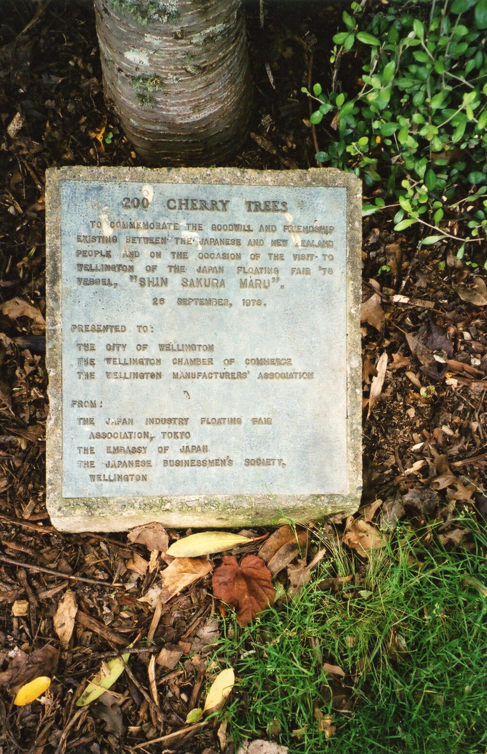 200 Cherry Trees (plaque)