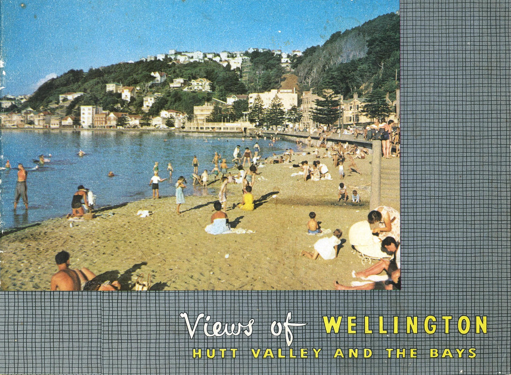Views of Wellington, Hutt Valley and the bays