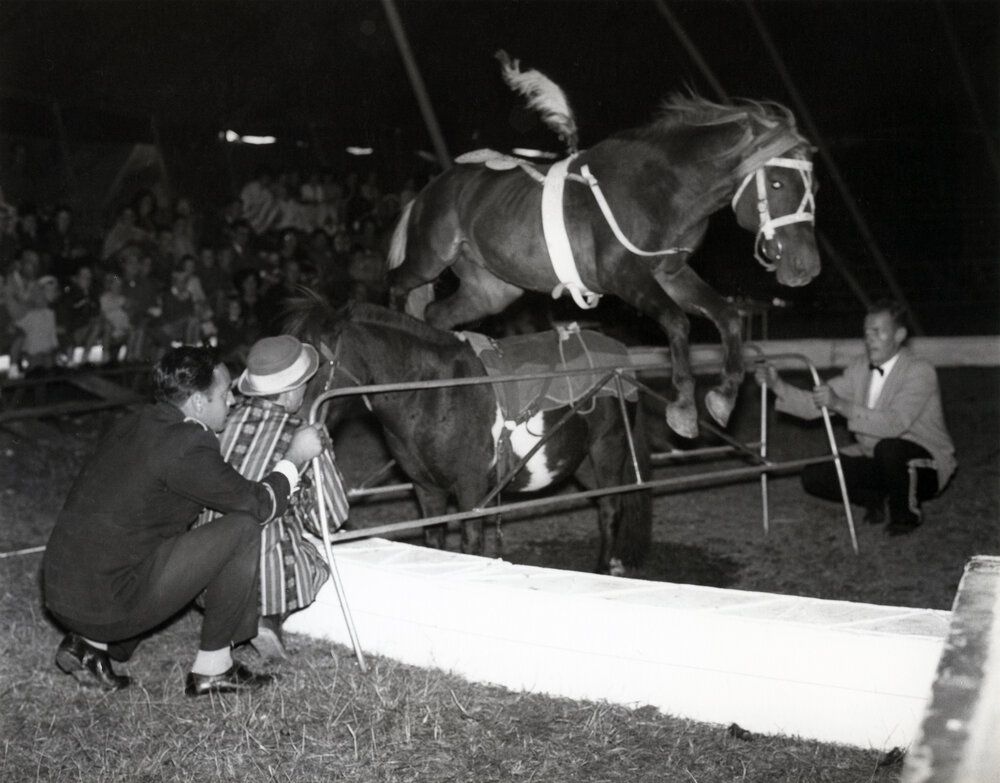 Bullen's Circus, Newtown