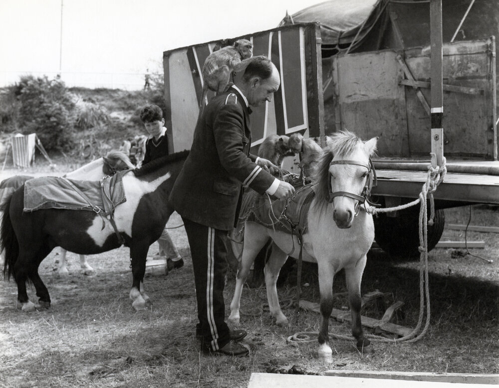 Travelling circus in Woburn, Lower Hutt