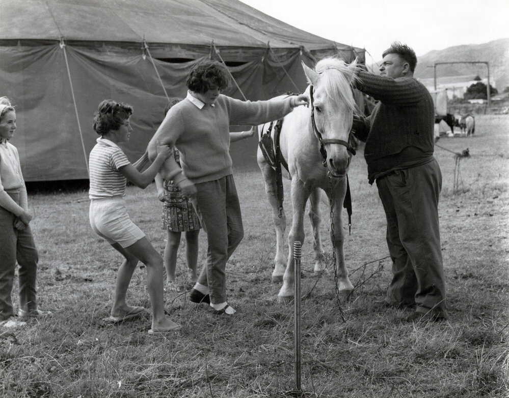 Travelling circus in Woburn, Lower Hutt