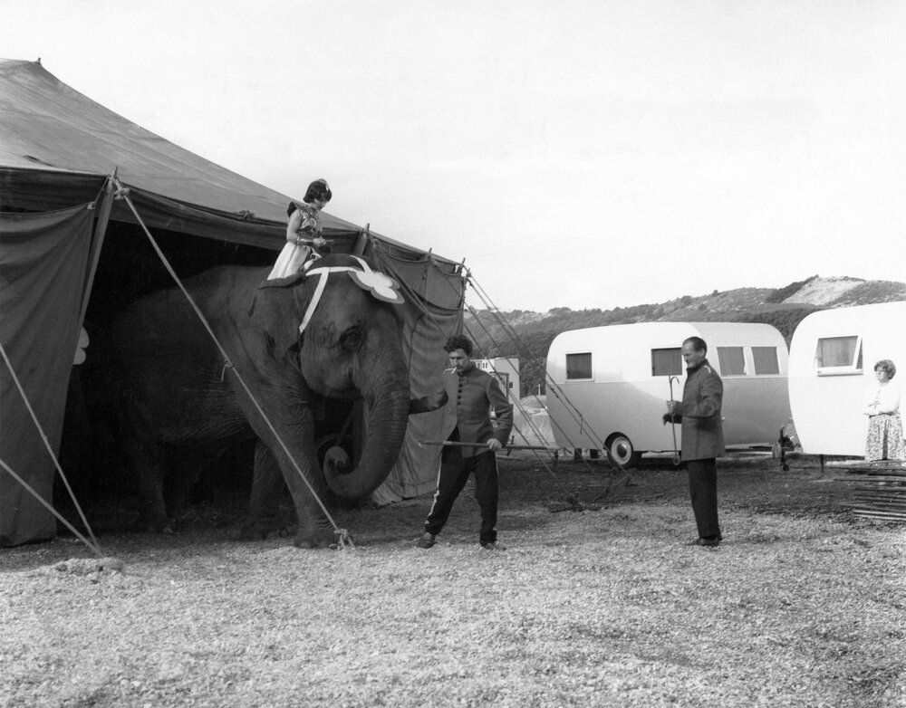 Bullen's Circus, Newtown