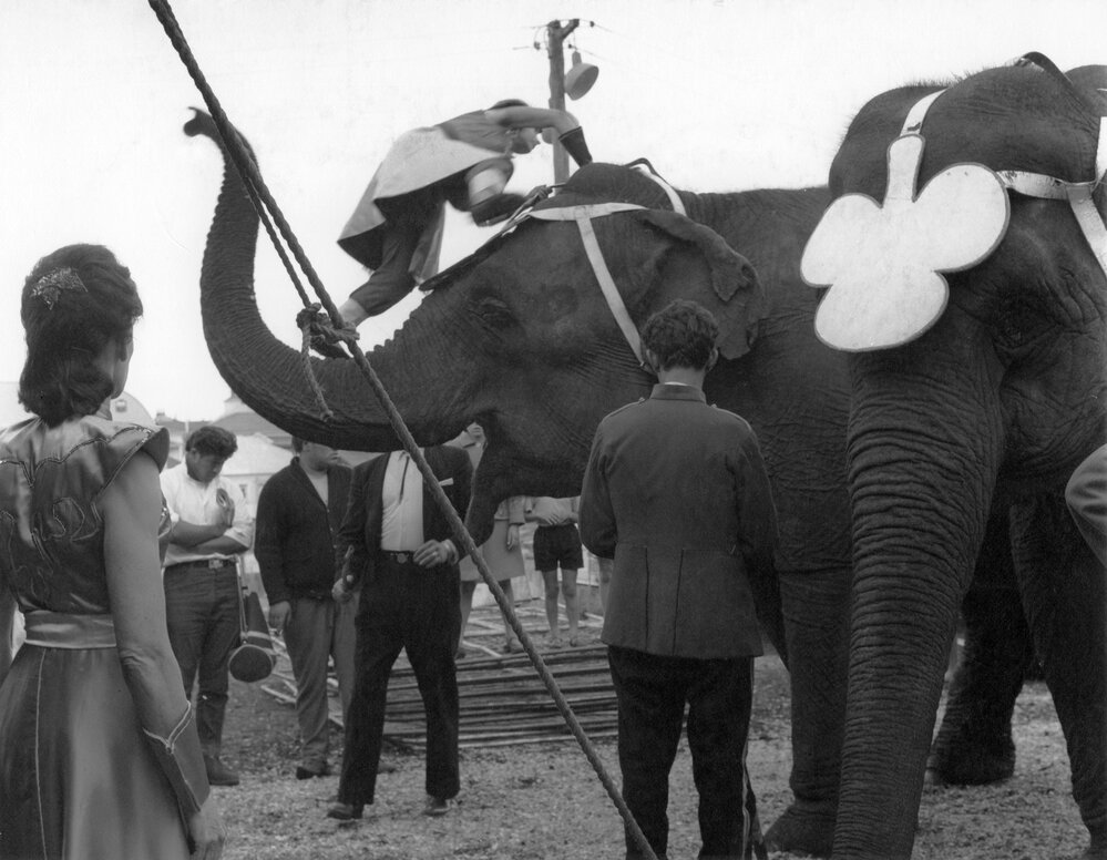 Bullen's Circus, Newtown