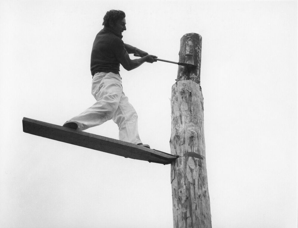Wood chopping demonstration
