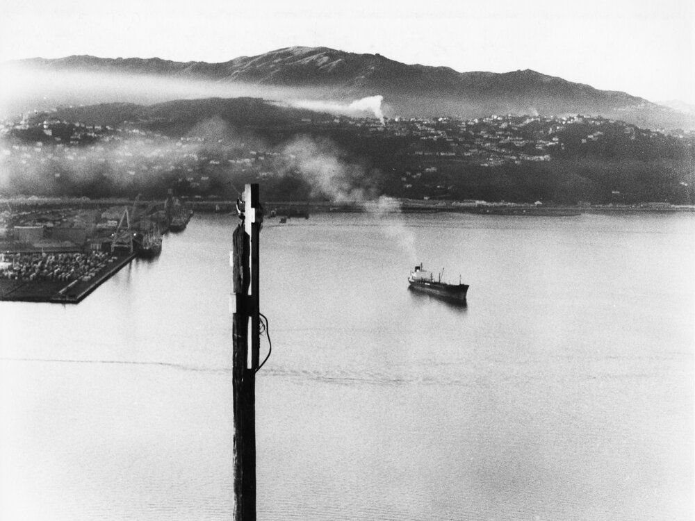 Wellington Harbour from Mt Victoria