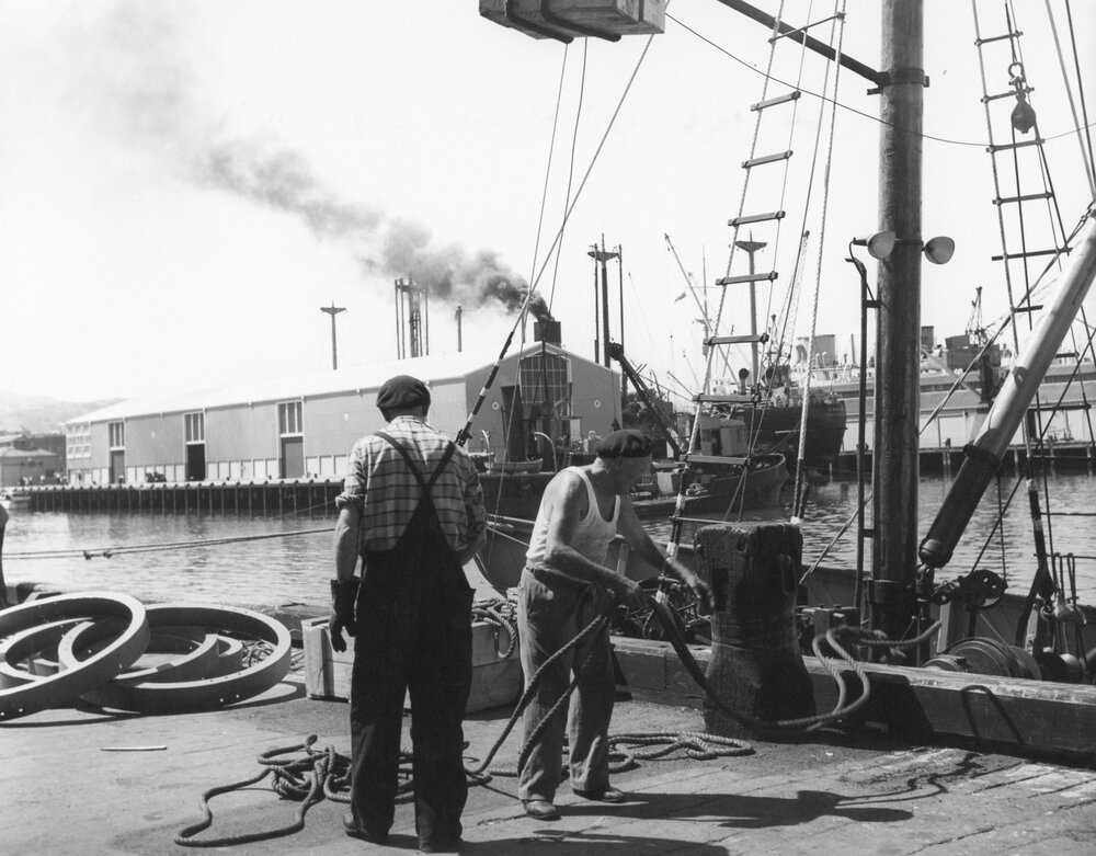 Dock workers on the Jervois Quay Wharf