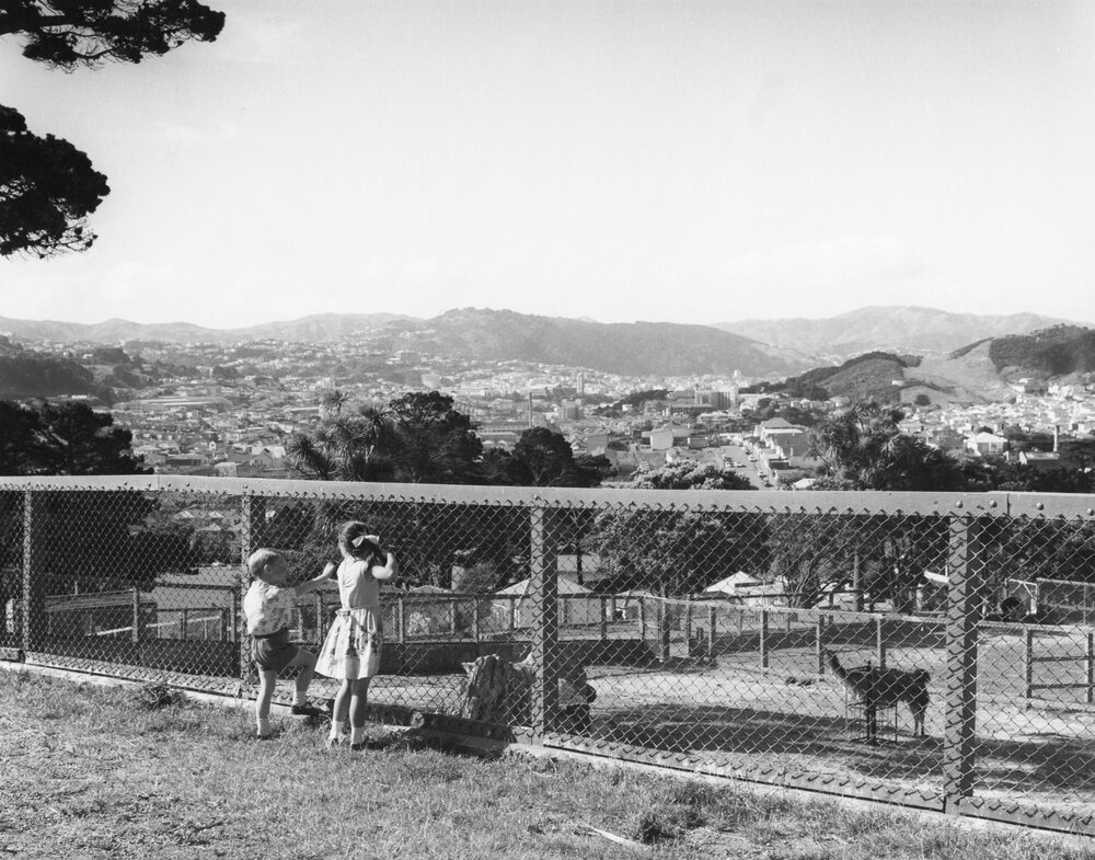 Wellington Zoo
