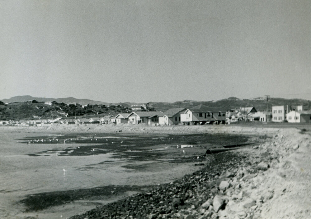 Relocated houses along Rongotai Road