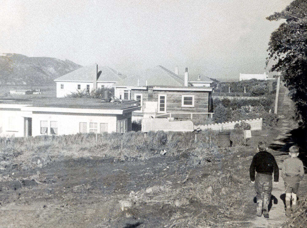 Rongotai Terrace (upper path)