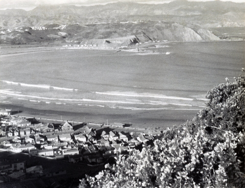 Lyall Bay and Moa Point 