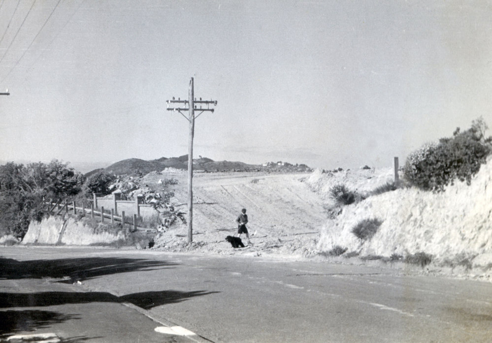 Empty lots on Rongotai Terrace