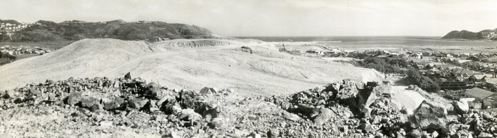 Rongotai Terrace hill (I)