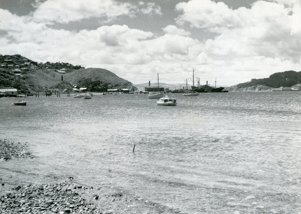 Greta Point, Evans Bay 