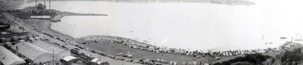 Panoramic image of Evans Bay