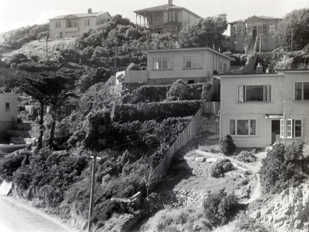 Rongotai Terrace, north end