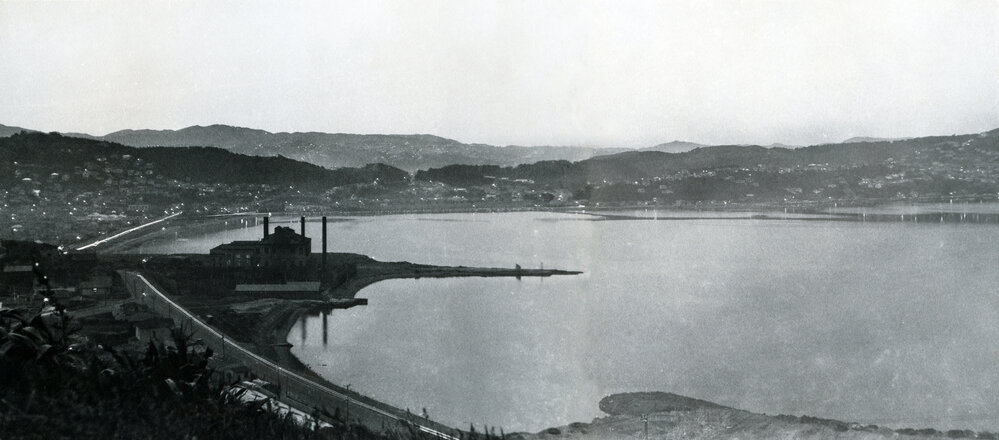 Evans Bay from Wexford Road