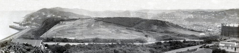 Excavations near Wexford Road