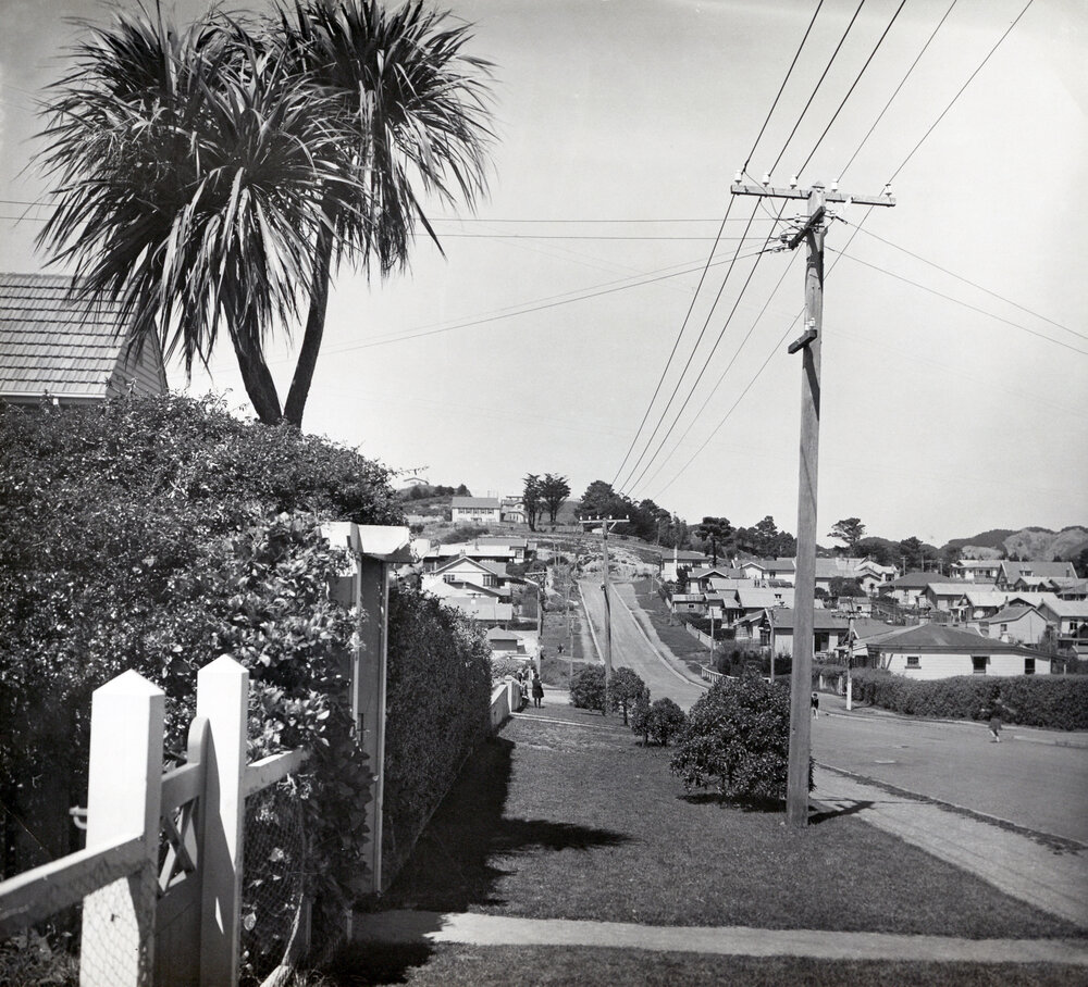 Cooper Street, Karori