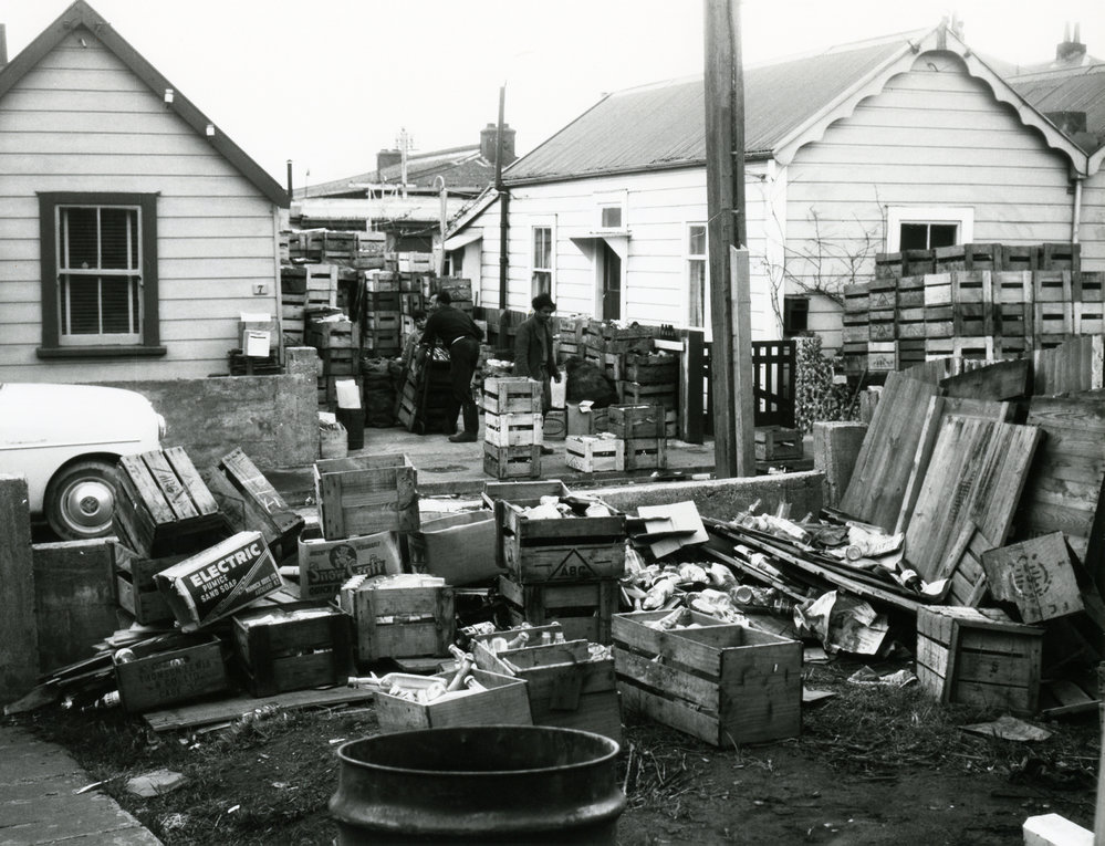 7 Alfred Street, Mt Cook