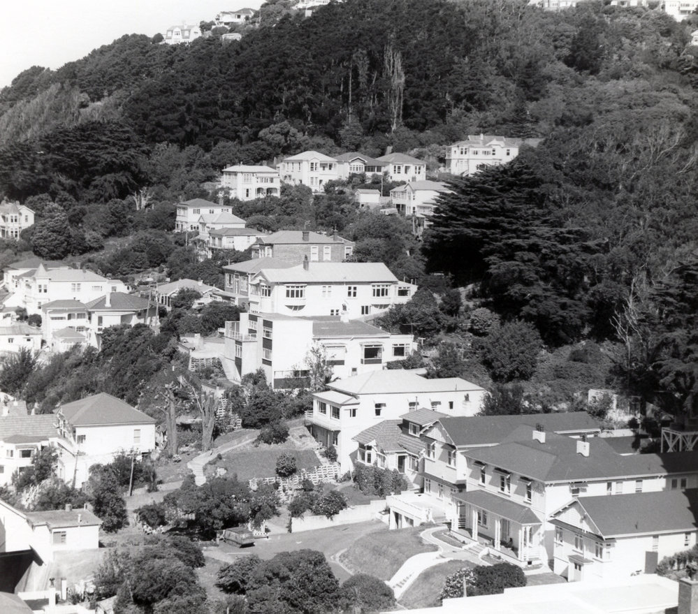 Houses in Oriental Bay 