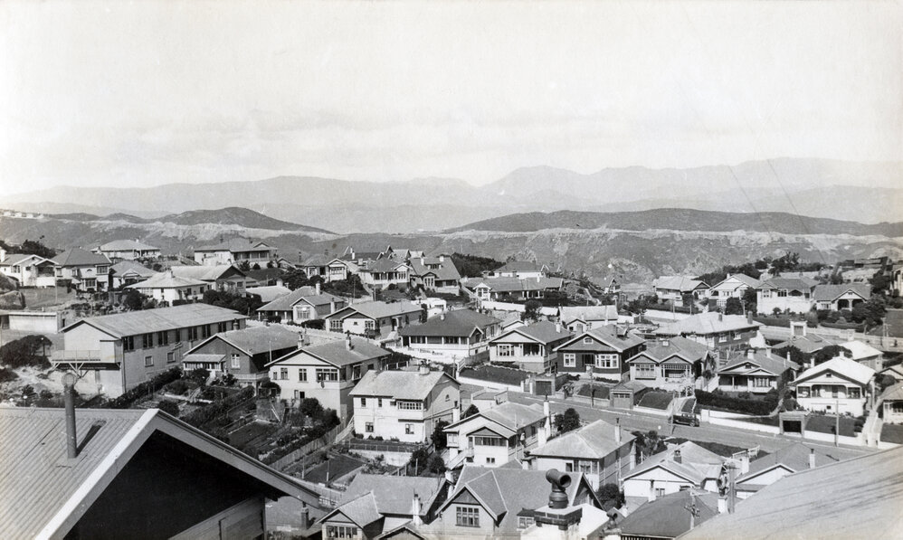 Hohiria Road, Hataitai