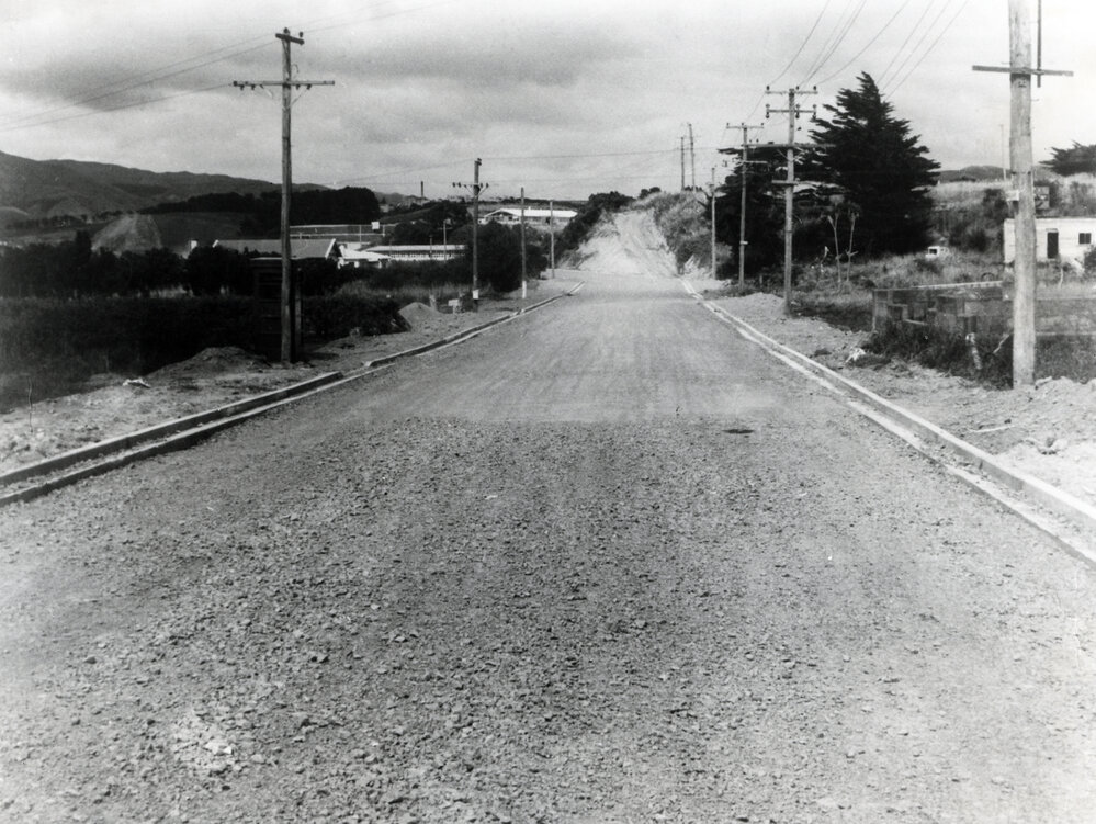 Ngatitoa Street, Porirua
