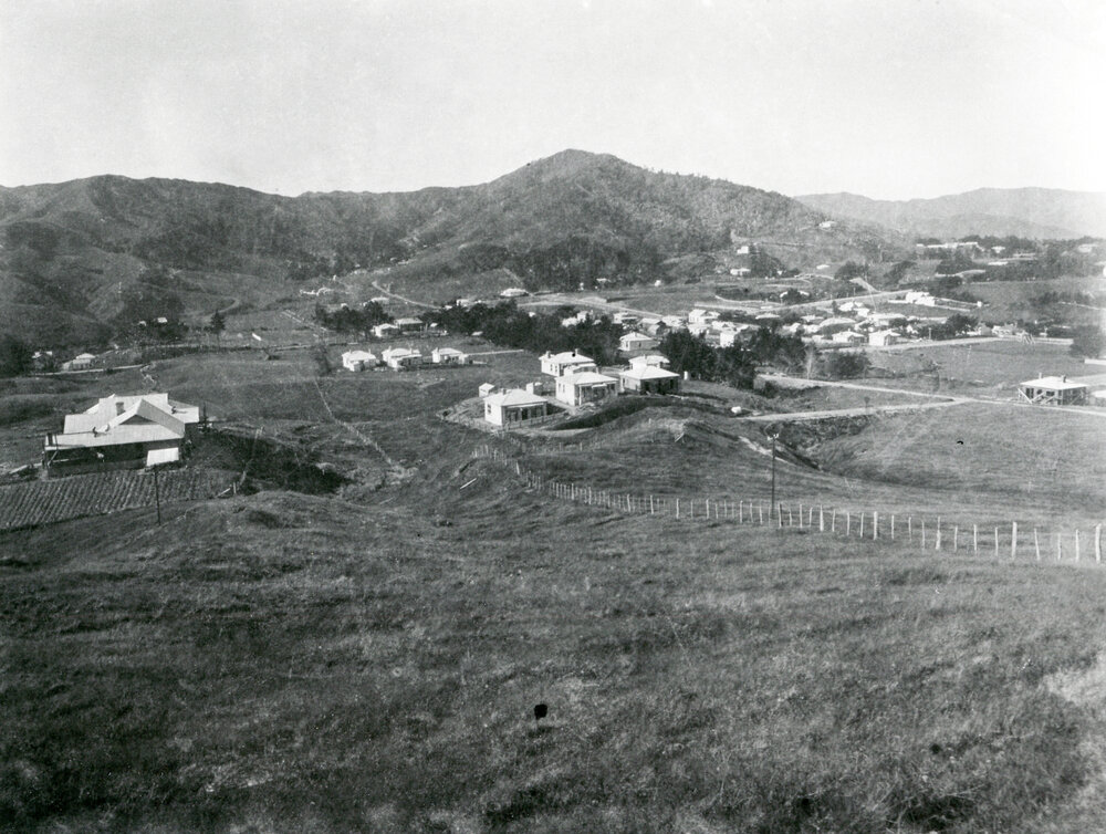 Beavis' farm, Karori 