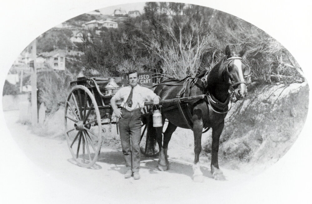 Milk delivery in Karori 