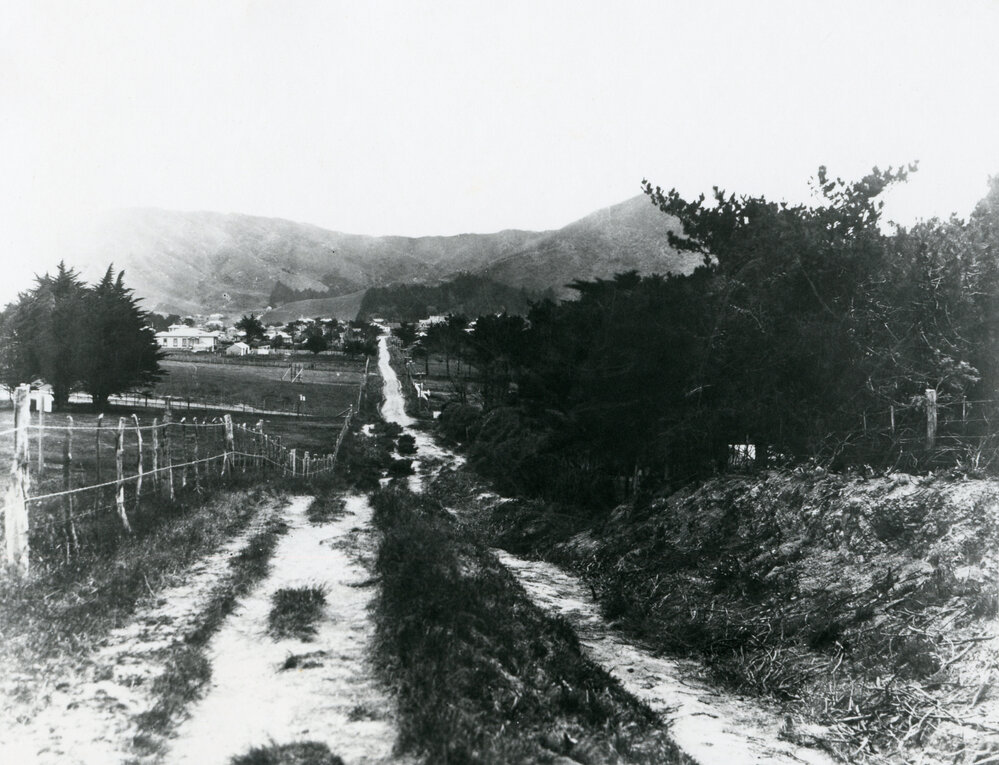 Campbell Street, Karori