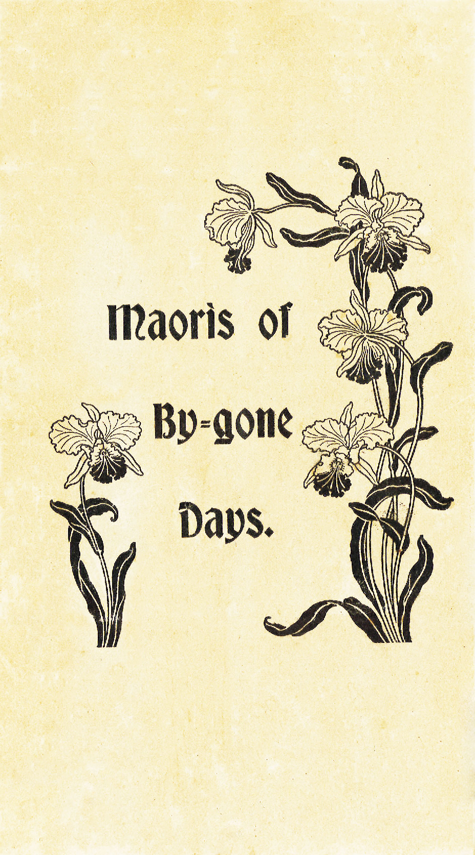 Maoris of By-gone Days