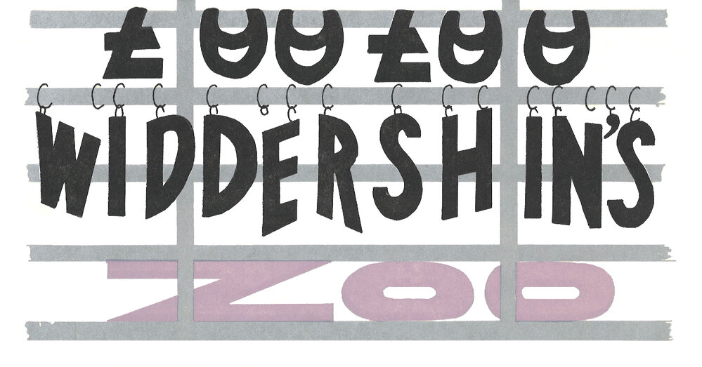 Downstage Theatre: "Zoo Zoo Widdershin's Zoo"