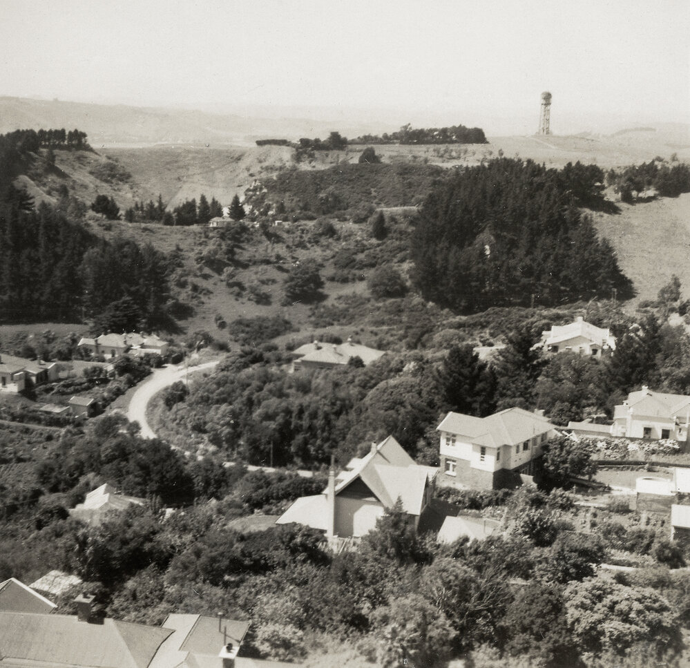 Bastia Hill Water Tower, Whanganui