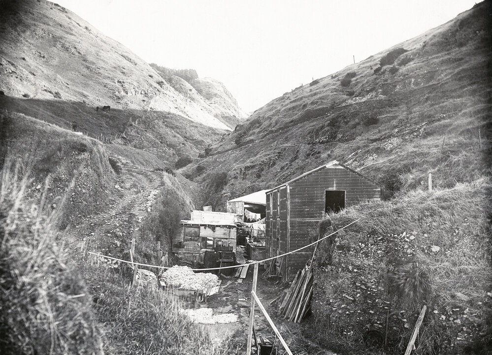 Possible sheepskin tannery 