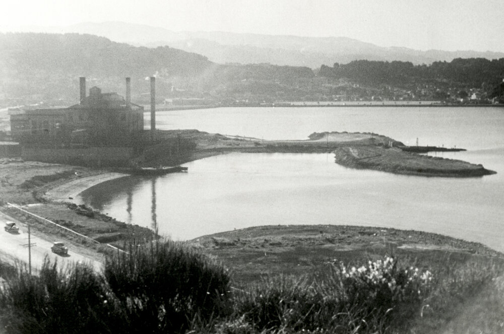 Reclamation works in Evans Bay