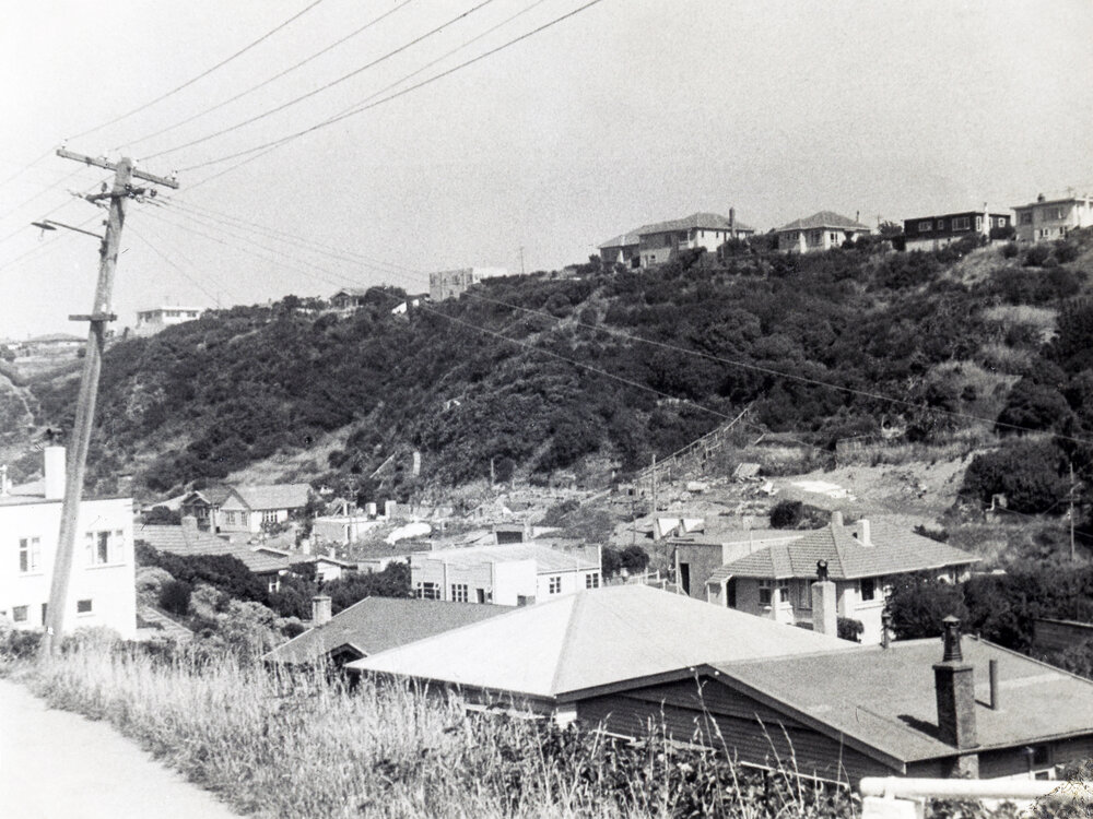 Rongotai Terrace hill