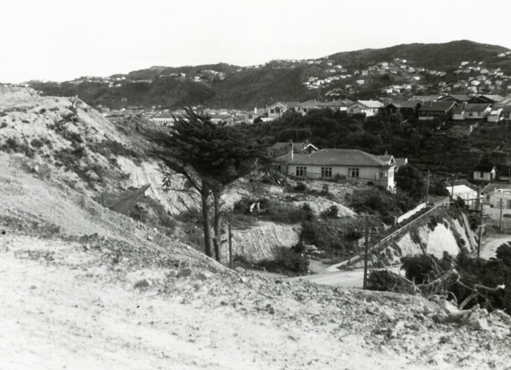 Excavation of Wexford Road (I)