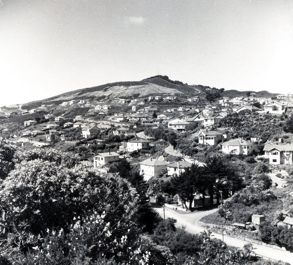 Curtis Street and Creswick Terrace