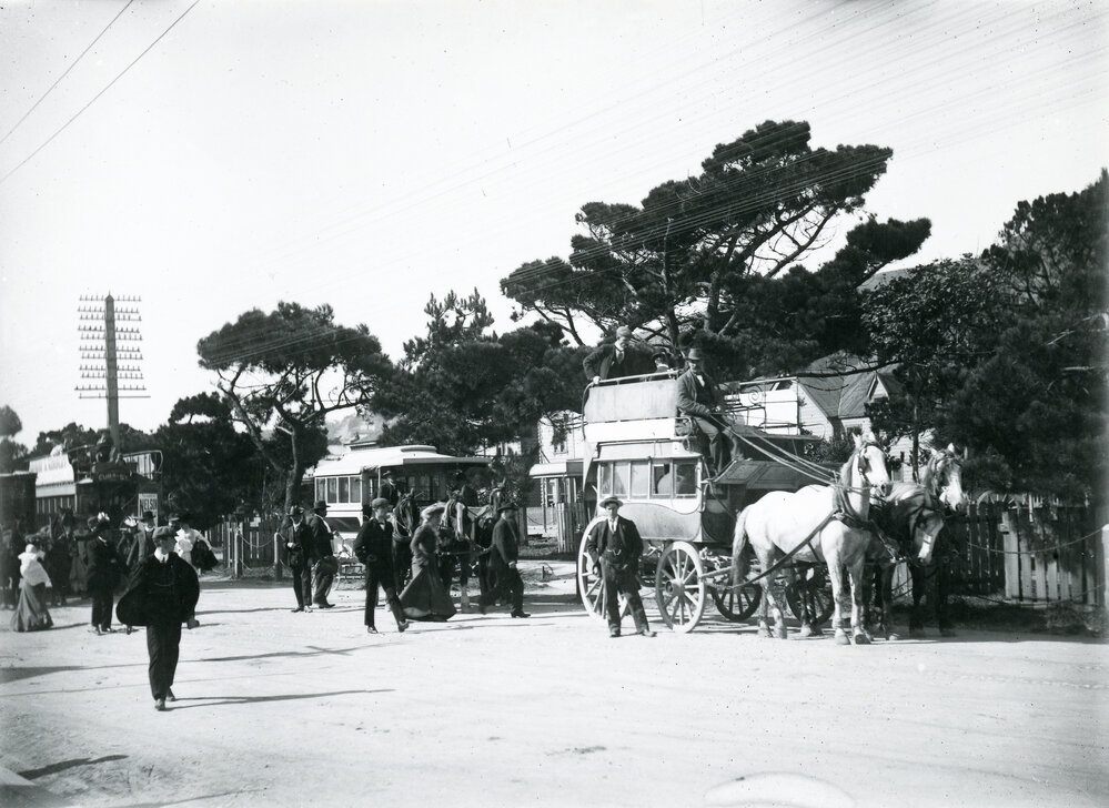 Horse-buses on Cambridge Terrace 