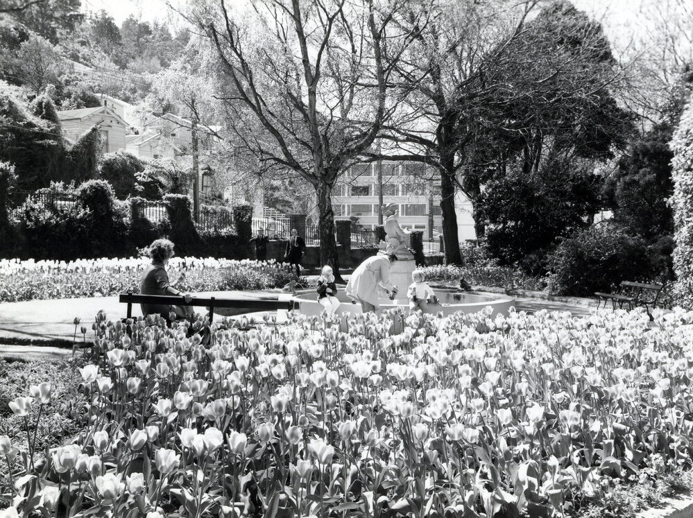 Tulips in the Botanic Garden 
