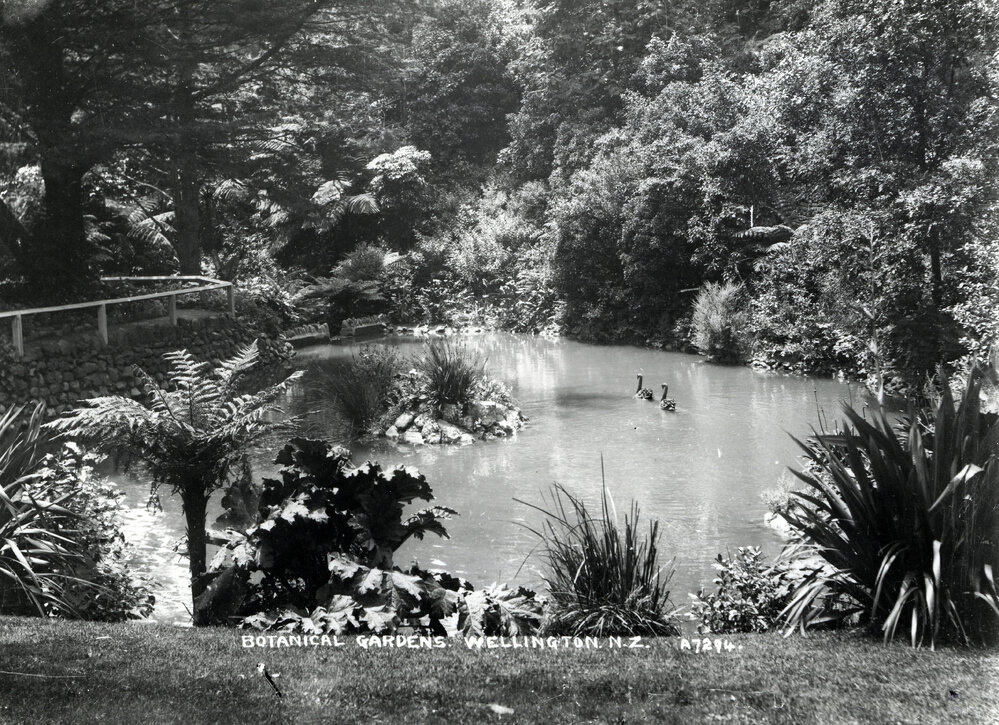 Duck pond at the Botanic Gardens 