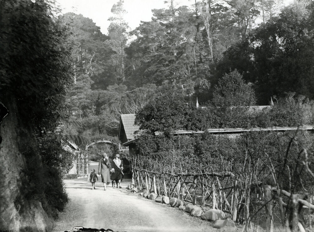 Women walking in the Botanic Gardens